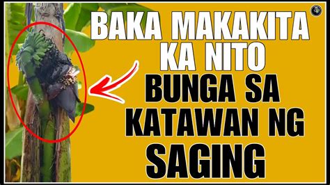 mabisang agimat sa sugal|Naghahanap ka ba ng mabisang solusyon sa kamalasan sa .